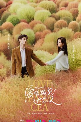 友军之歌海报剧照