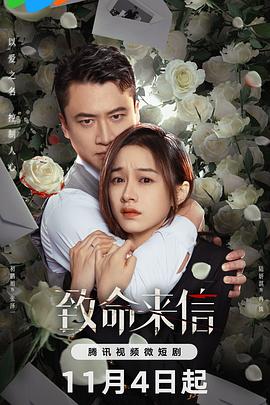 偷龙转凤国语版海报剧照